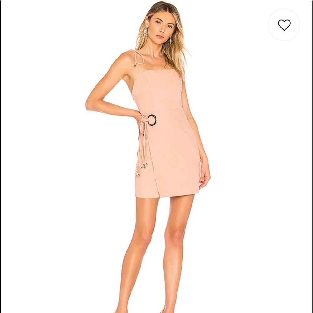blush dress!